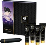 Shunga Erotic Art Naughty Geisha Kit