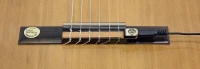 Fire&Stone CG-1 Transducer