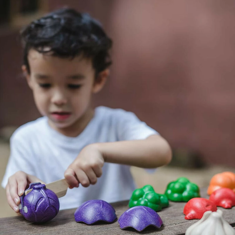 Plan Toys Veggie Set