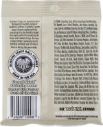 Ernie Ball Rock and Blues Earthwood 80/20 Bronze 10-52