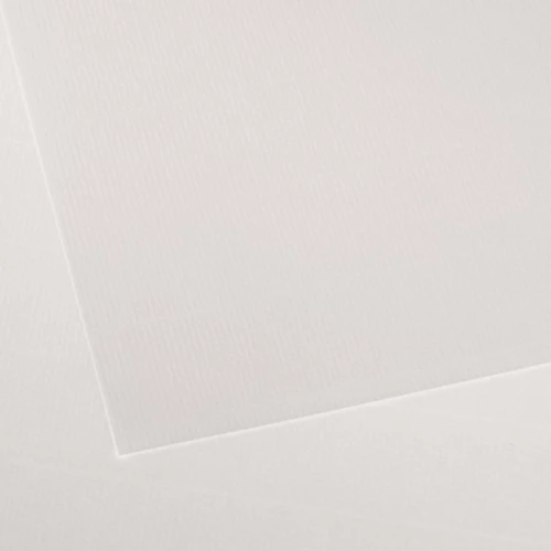 Χαρτί Canson Ingres 100gr. 50x65cm