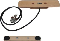 Tap AK-M Single Coil
