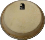 Toca Traditional Series Quinto Head - 11"