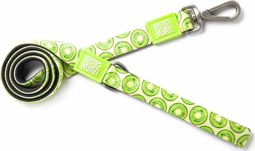 MAX MOLLY ΟΔΗΓΟΣ KIWI SMALL