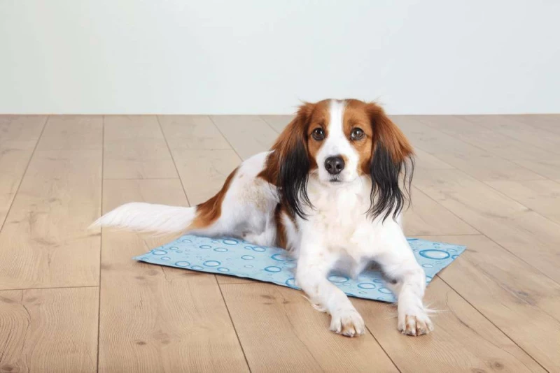Trixie Cooling Mat 50x40cm Light Blue