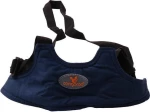 Cangaroo Safety Rein Blue