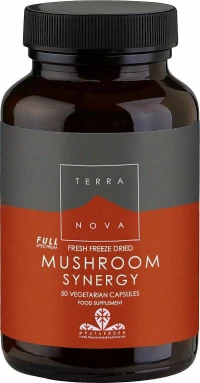 TerraNova Mushroom Synergy 50 κάψουλες