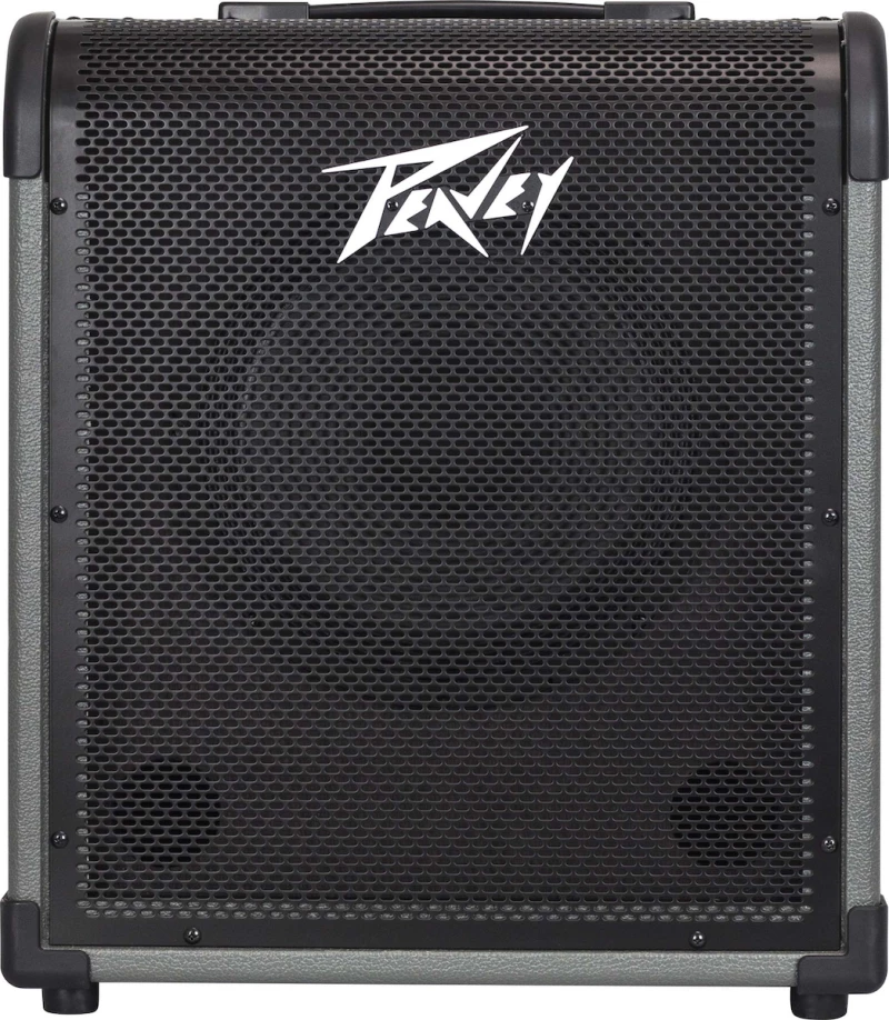 Peavey Max 100