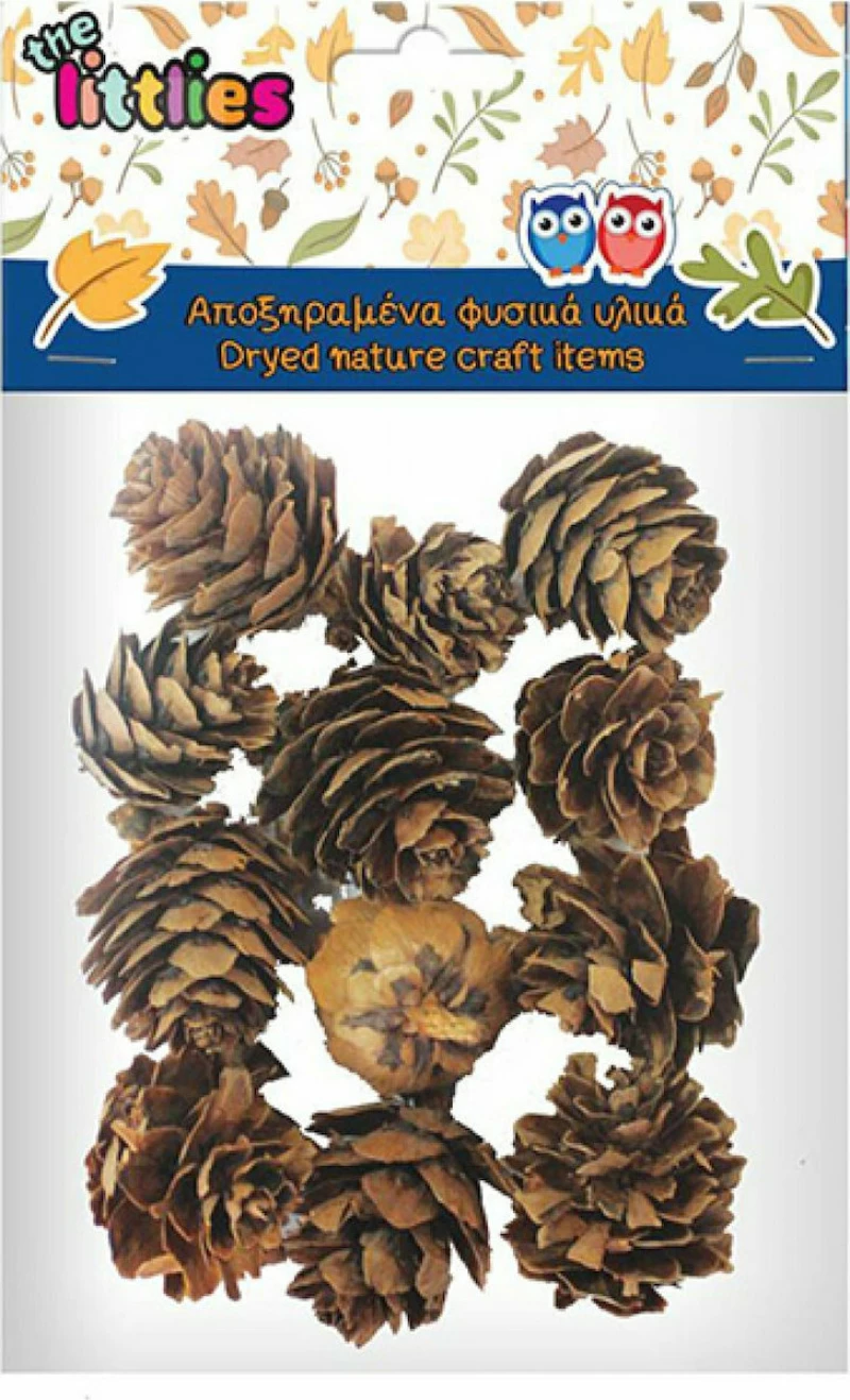 Luna Αποξηραμένα Κουκουνάρια 12 τμχ