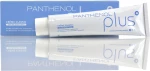 Panthenol Plus Creme Classic 100ml