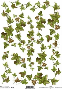 Ριζόχαρτο decoupage "ivy" 21x29εκ. (ITD-R321)