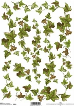 Ριζόχαρτο decoupage "ivy" 21x29εκ. (ITD-R321)