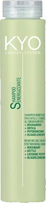 KYO Energy System 250ml