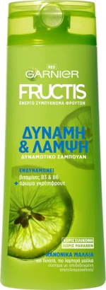 Garnier Fructis Δύναμη & Λάμψη Shampoo 400ml