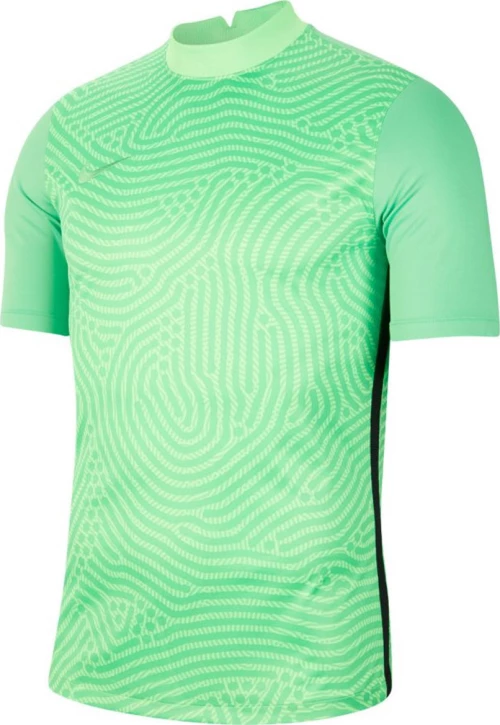 Nike Gardinien III Gk Jersey