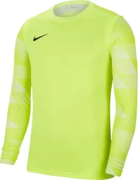 Nike Dry Park IV