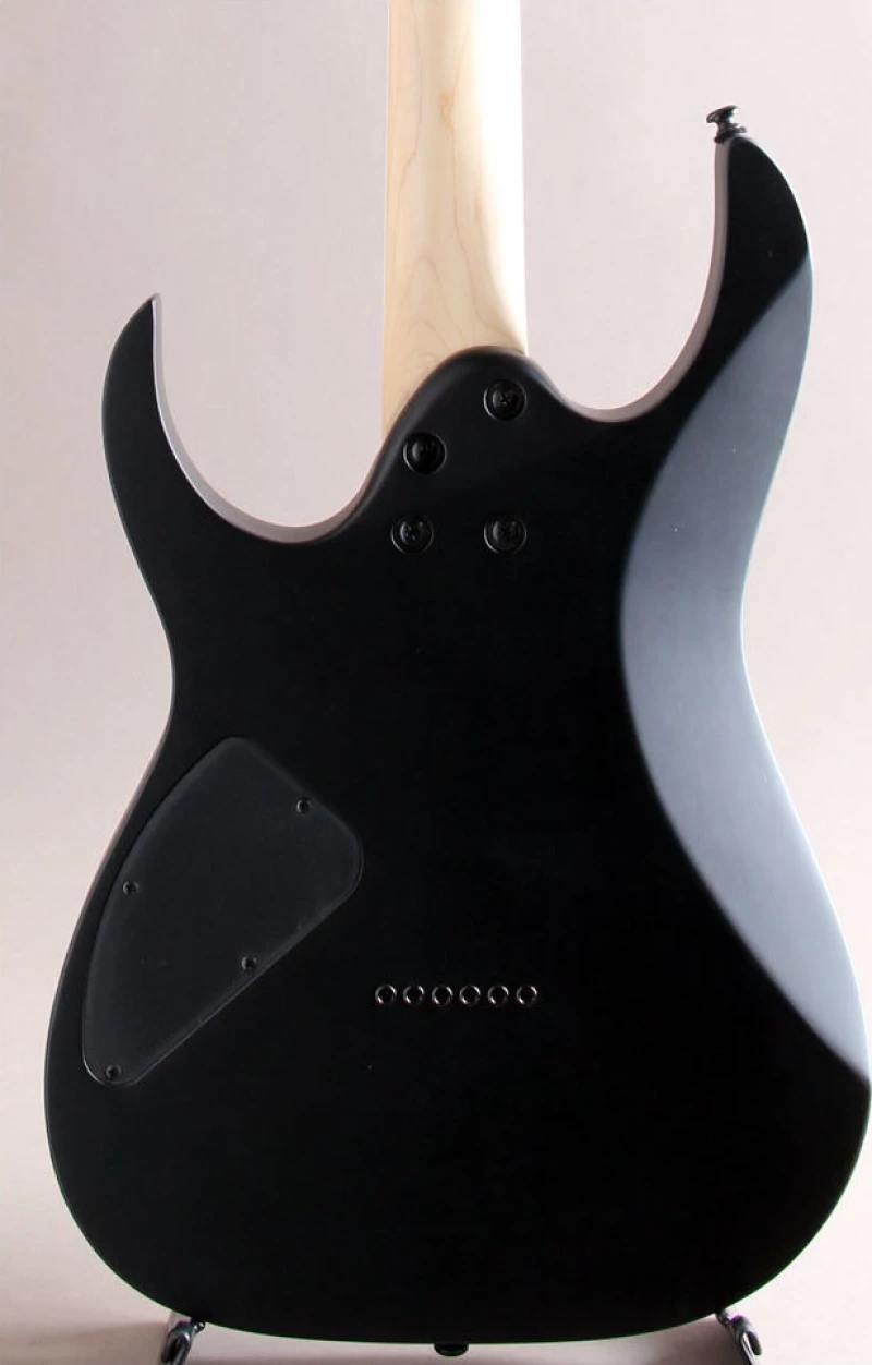 Ηλεκτρική κιθάρα ibanez rg421ex-bkf