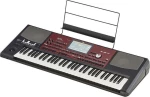 Korg Pa700 Arranger / Αρμονιο 61 Keys Oriental