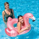 Intex Σαμπρέλα Flamingo Tube 119cm