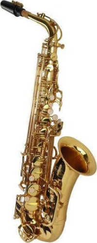 Kings 6430L Alto Gold