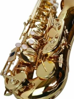 Kings 6430L Alto Gold