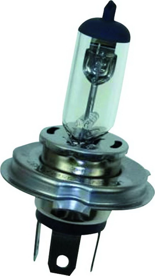 Flosser HS1 12V 1τμχ