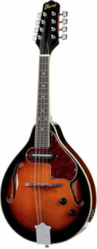 Ibanez M510E-BS