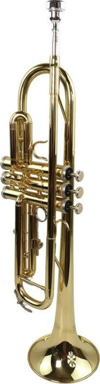 Kings 6418L Student Lacquer