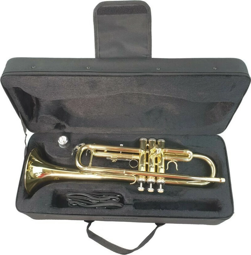 Kings 6418L Student Lacquer