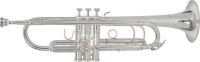 Roy Benson TR-403 Silver