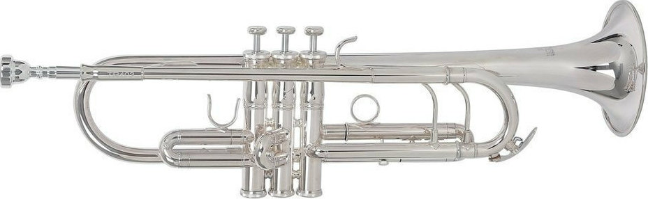 Roy Benson TR-403 Silver