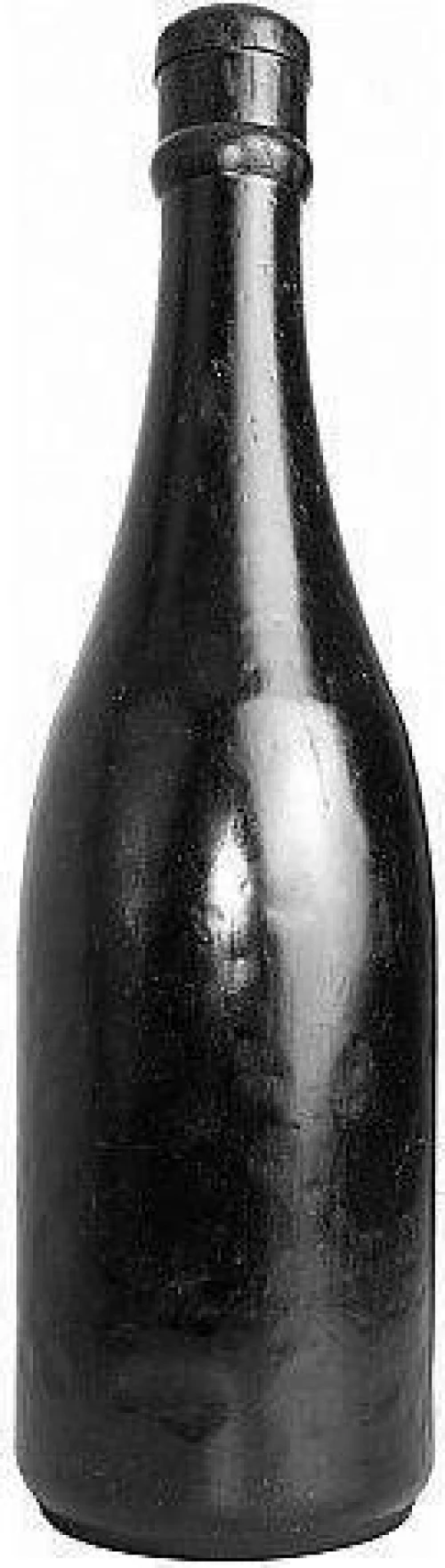All Black Anal Plug Black 39.5cm