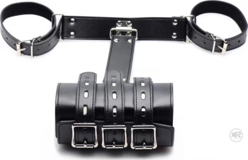 XR Strict Leather Arm Binder