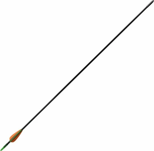 vidaXL Βέλη 12τμχ. 30" 90856