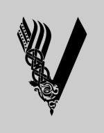 Vikings t-shirt