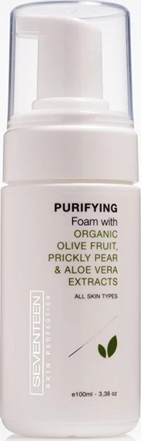 Seventeen Purifying Foam 100ml