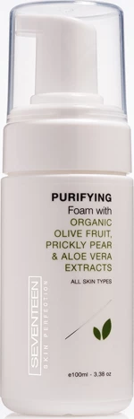 Seventeen Purifying Foam 100ml