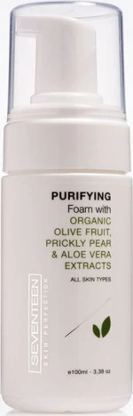 Seventeen Purifying Foam 100ml