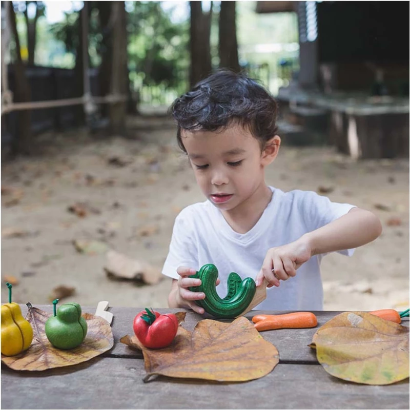 Plan Toys Fruits & Vegetables