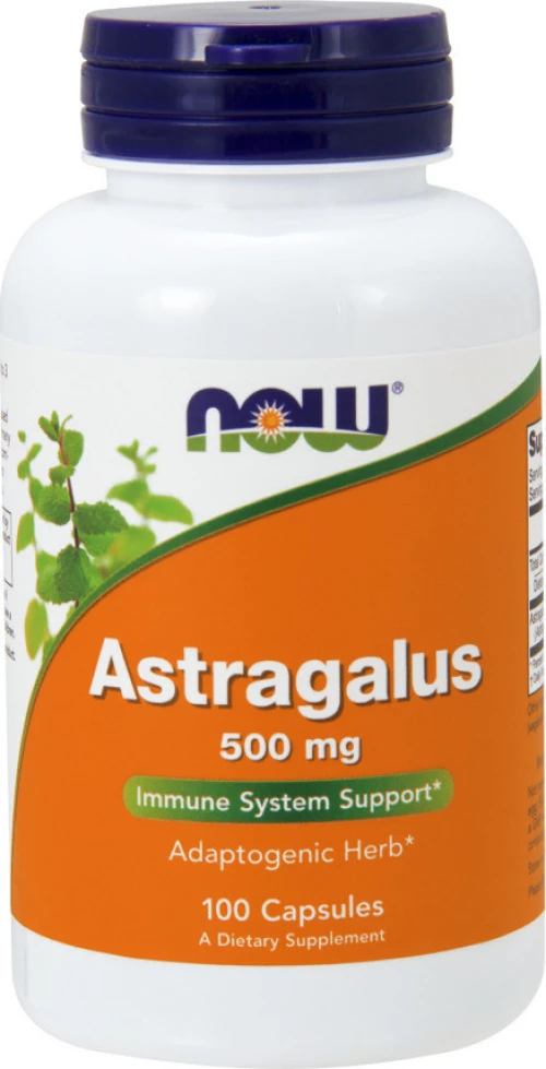 Now Foods Astragalus 500mg 100 κάψουλες