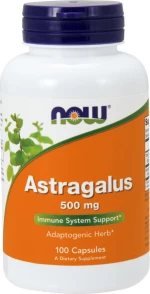 Now Foods Astragalus 500mg 100 κάψουλες