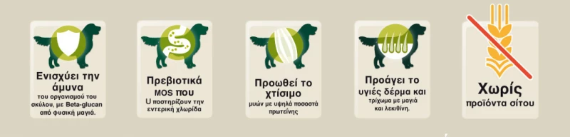 Bewi Dog Meat Selection Βοδινό 400gr