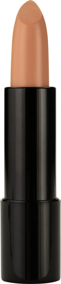 MD Professionnel Stick Concealer 42 6ml