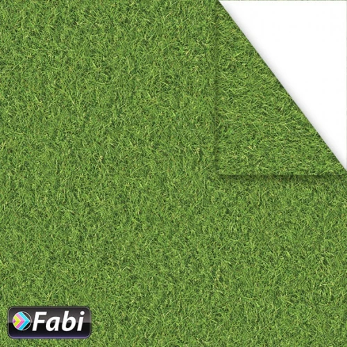 Fabi Χαρτόνι Γρασίδι 50x70cm 1τμχ