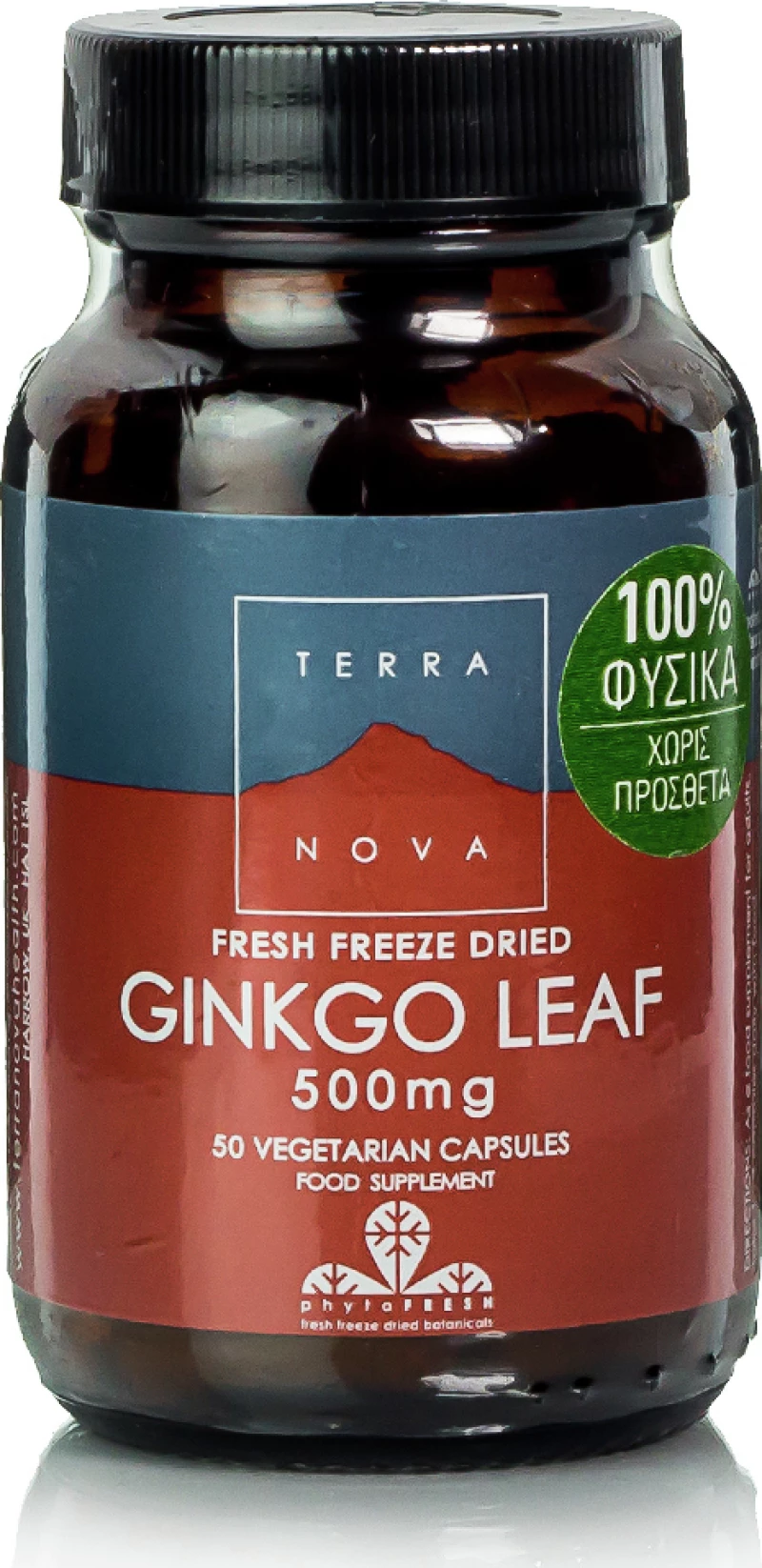 TerraNova Ginkgo Leaf 500mg 50 ταμπλέτες