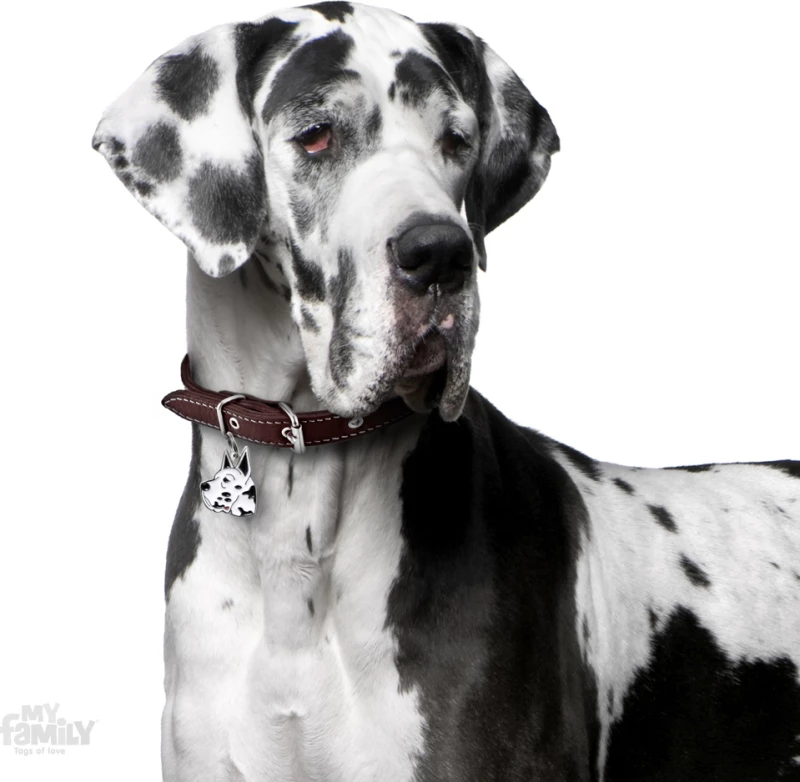 My Family Friends Great Dane Ταυτότητα Μενταγιόν