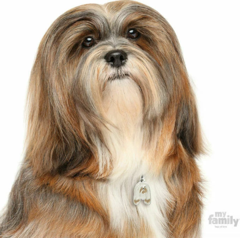 My Family Friends Lhasa Apso Ταυτότητα