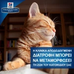 Hill's Prescription Diet m/d Feline 1.5kg