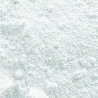 Buonarroti Σκόνη Αγιογραφίας Λευκό Τιτανίου 100gr