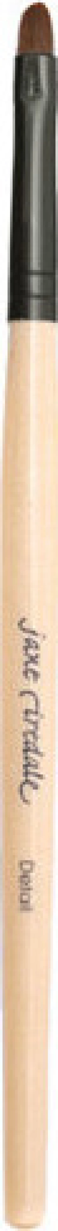 Jane Iredale Detail Brush